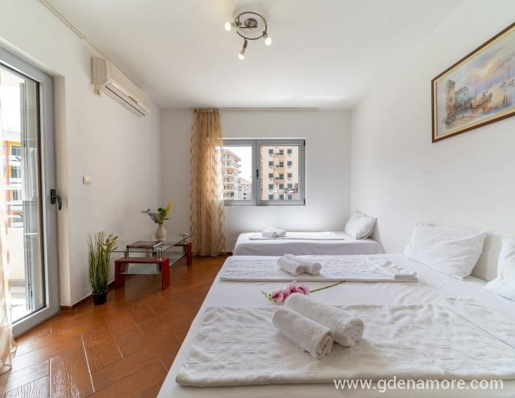 Apartment-for-rent-in-Budva (6)